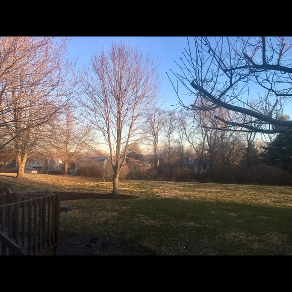 Meet your Posher, Chelsea - Picture 1 of 1